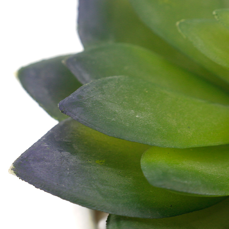 Wholesale-Artificial-Succulent-Plant-Mini-Succulents-for-Home-Hotel-Decorations (3).jpg